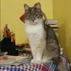 Отзыв от Динара Рожкова